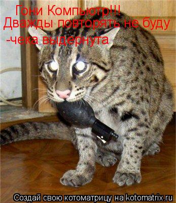 Гони Компьютр!!! Дважды повторять не буду -чека выдернута... Котоматрица: Гони Компьютр!!! Дважды повторять не буду -чека выдернута