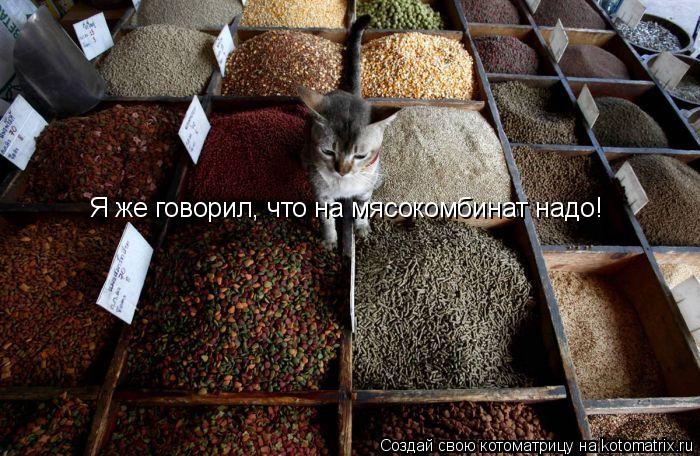 Я же говорил, что на мясокомбинат надо!... Котоматрица: Я же говорил, что на мясокомбинат надо!