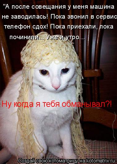 Котоматрица: "А после совещания у меня машина не заводилась! Пока звонил в сервис- телефон сдох! Пока приехали, пока  починили... Уже и утро...  Ну когда я теб