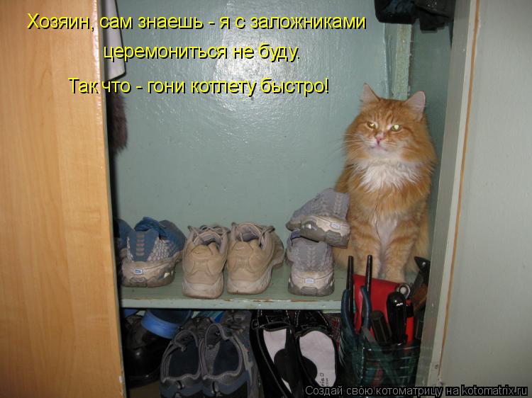 Хозяин, сам знаешь - я с заложниками церемониться не буду. Так что - гони котлету быстро!... Котоматрица: Хозяин, сам знаешь - я с заложниками церемониться не буду. Так что - гони котлету быстро!