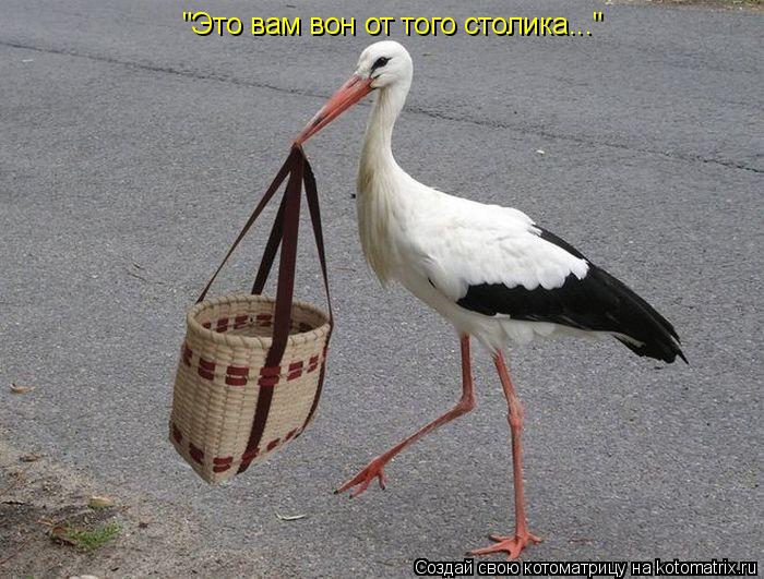 "Это вам вон от того столика..."... Котоматрица: "Это вам вон от того столика..."