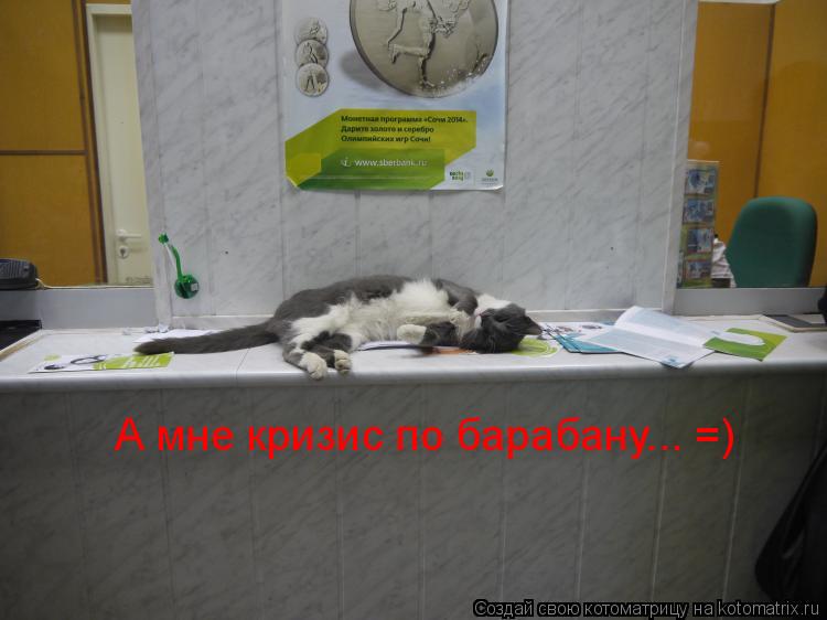 А мне кризис по барабану... =)... Котоматрица: А мне кризис по барабану... =)