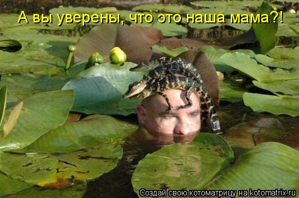 А вы уверены, что это наша мама?!... Котоматрица: А вы уверены, что это наша мама?!
