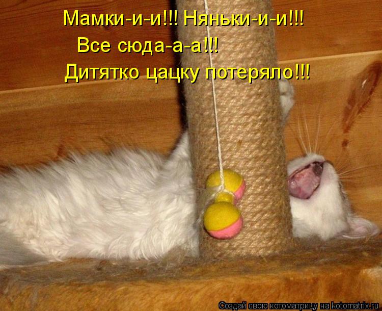 Котоматрица: Мамки-и-и!!! Няньки-и-и!!! Все сюда-а-а!!! Дитятко цацку потеряло!!!