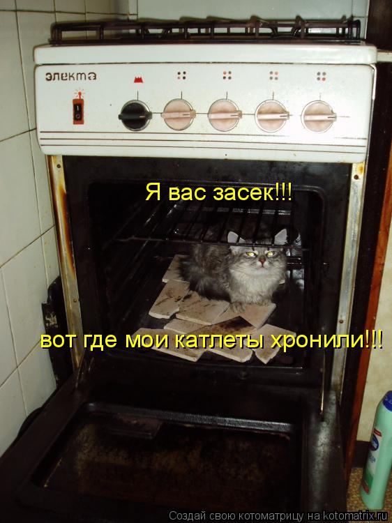 Я вас засек!!! вот где мои катлеты хронили!!!... Котоматрица: Я вас засек!!! вот где мои катлеты хронили!!!