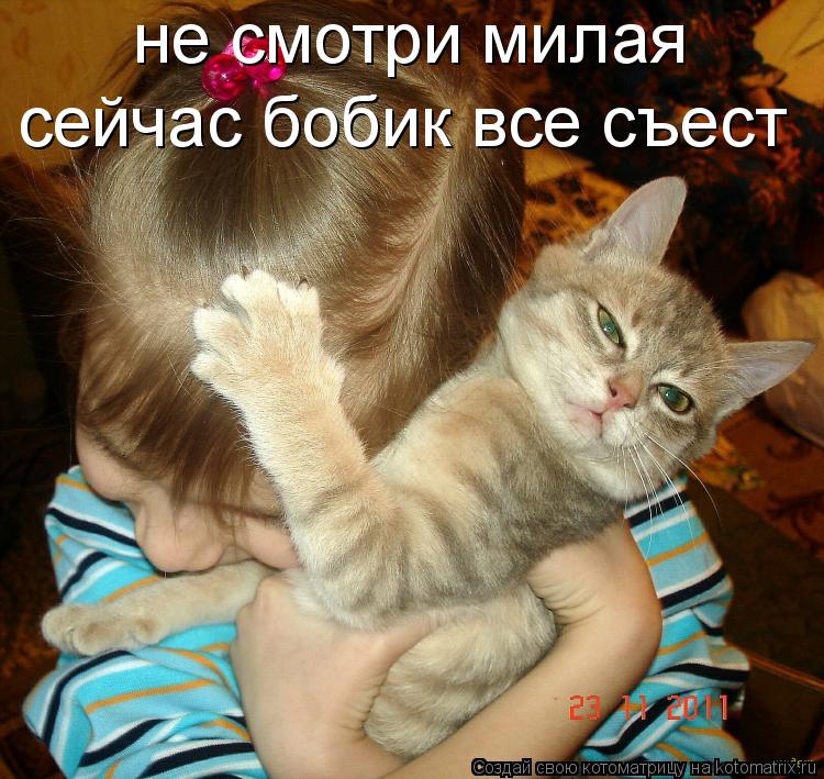 сейчас бобик все съест не смотри милая... Котоматрица: сейчас бобик все съест не смотри милая