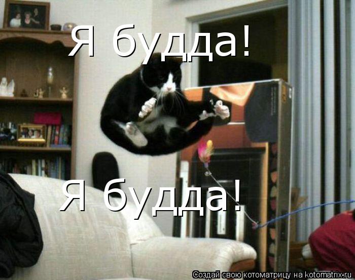 Я будда! Я будда!... Котоматрица: Я будда! Я будда!