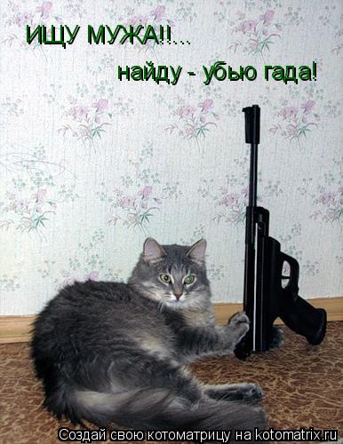 ИЩУ МУЖА!!... найду - убью гада!... Котоматрица: ИЩУ МУЖА!!... найду - убью гада!