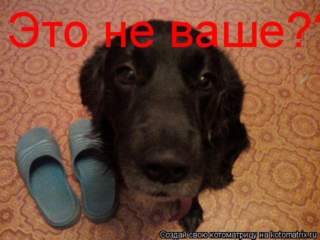 Это не ваше???... Котоматрица: Это не ваше???