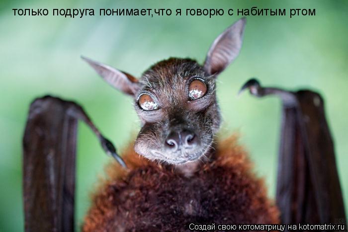 только подруга понимает,что я говорю с набитым ртом... Котоматрица: только подруга понимает,что я говорю с набитым ртом