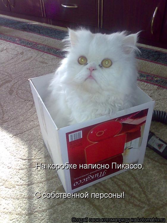 На коробке написно Пикассо, С собственной персоны!... Котоматрица: На коробке написно Пикассо, С собственной персоны!