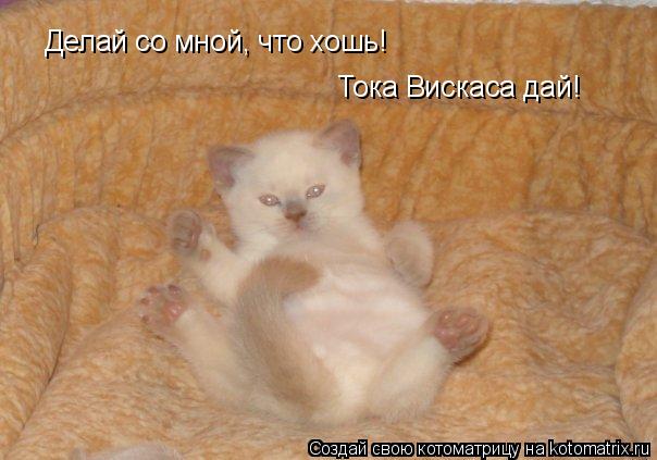 Делай со мной, что хошь! Тока Вискаса дай!... Котоматрица: Делай со мной, что хошь! Тока Вискаса дай!