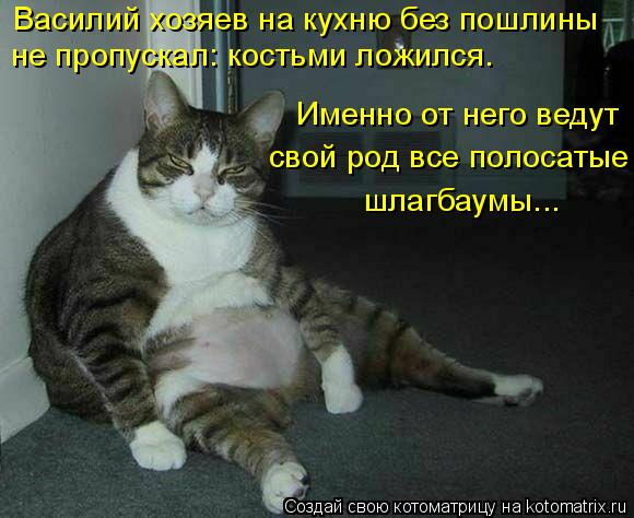 Котоматрица: Василий хозяев на кухню без пошлины не пропускал: костьми ложился. Именно от него ведут свой род все полосатые шлагбаумы...