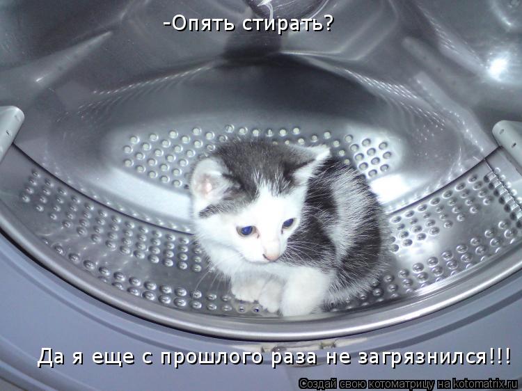 -Опять стирать? Да я еще с прошлого раза не загрязнился!!!... Котоматрица: -Опять стирать? Да я еще с прошлого раза не загрязнился!!!