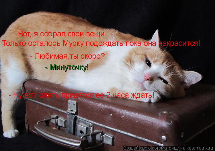 Вот, я собрал свои вещи. Только осталось Мурку подождать пока она накрасится! - Любимая,ты скоро? - М... Котоматрица: Вот, я собрал свои вещи. Только осталось Мурку подождать пока она накрасится! - Любимая,ты скоро? - Минуточку! - Ну вот, опять придётся её 2 часа