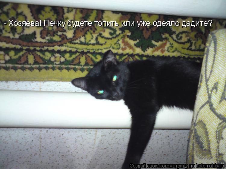 - Хозяева! Печку будете топить или уже одеяло дадите?... Котоматрица: - Хозяева! Печку будете топить или уже одеяло дадите?
