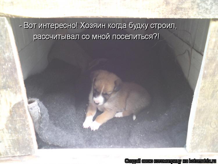 - Вот интересно! Хозяин когда будку строил, рассчитывал со мной поселиться?!... Котоматрица: - Вот интересно! Хозяин когда будку строил, рассчитывал со мной поселиться?!