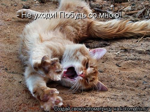 - Не уходи! Побудь со мною!... Котоматрица: - Не уходи! Побудь со мною!