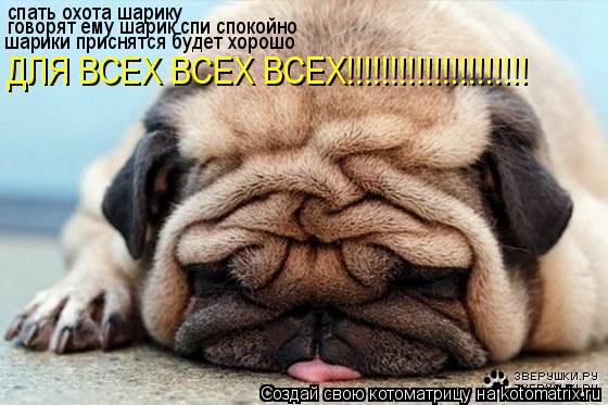 спать охота шарику говорят ему шарик спи спокойно шарики приснятся будет хорошо ДЛЯ ВСЕХ ВСЕХ ВСЕХ!!... Котоматрица: спать охота шарику говорят ему шарик спи спокойно шарики приснятся будет хорошо ДЛЯ ВСЕХ ВСЕХ ВСЕХ!!!!!!!!!!!!!!!!!!!!!