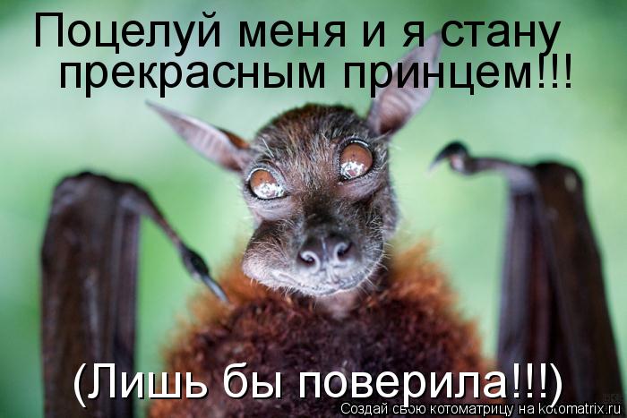 Поцелуй меня и я стану прекрасным принцем!!! (Лишь бы поверила!!!)... Котоматрица: Поцелуй меня и я стану прекрасным принцем!!! (Лишь бы поверила!!!)