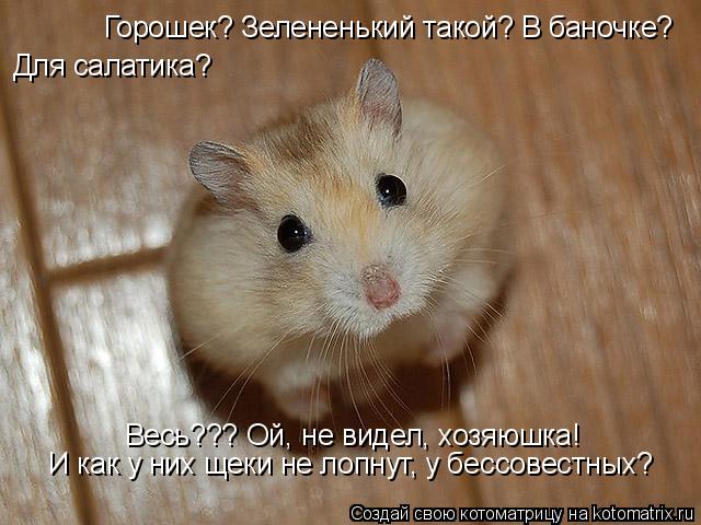 Горошек? Зелененький такой? В баночке? Для салатика? Весь??? Ой, не видел, хозяюшка! И как у них щеки... Котоматрица: Горошек? Зелененький такой? В баночке? Для салатика? Весь??? Ой, не видел, хозяюшка! И как у них щеки не лопнут, у бессовестных?