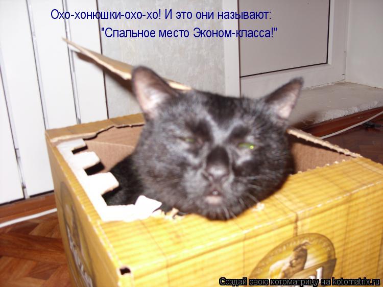 Котоматрица: Охо-хонюшки-охо-хо! И это они называют: "Спальное место Эконом-класса!"