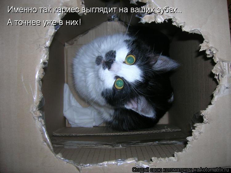 Котоматрица: Именно так кариес выглядит на ваших зубах.. А точнее уже в них!