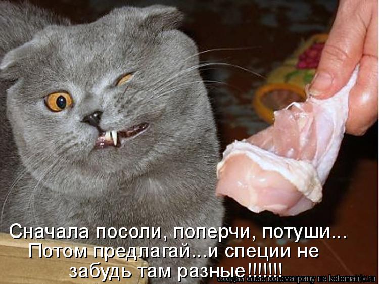 Котоматрица: Сначала посоли, поперчи, потуши...  Потом предлагай...и специи не   забудь там разные!!!!!!!