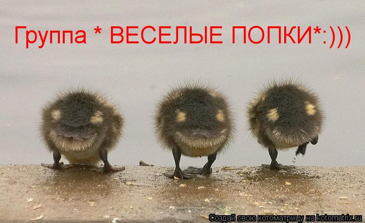 Котоматрица: Группа * ВЕСЕЛЫЕ ПОПКИ*:)))