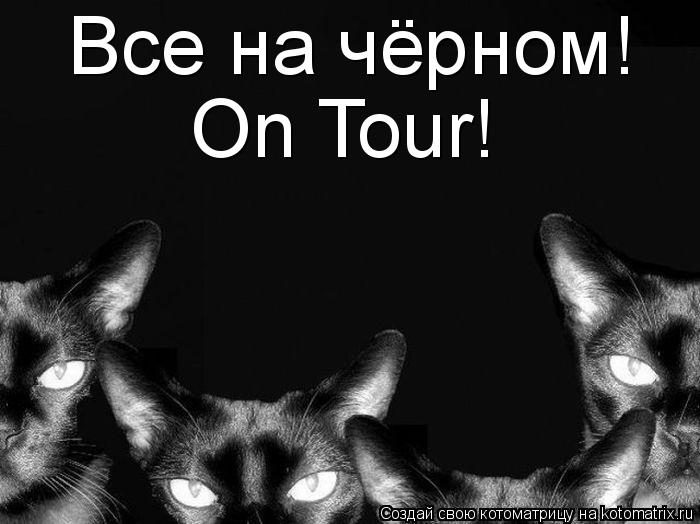 Котоматрица: Все на чёрном! On Tour!