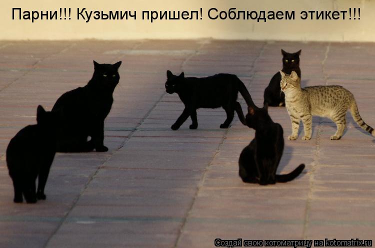 Котоматрица: Парни!!! Кузьмич пришел! Соблюдаем этикет!!!