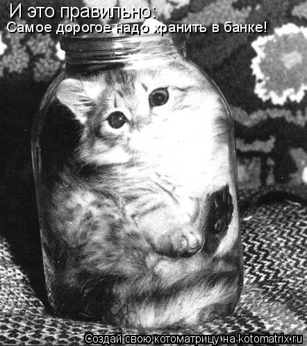 Котоматрица: И это правильно: Самое дорогое надо хранить в банке!