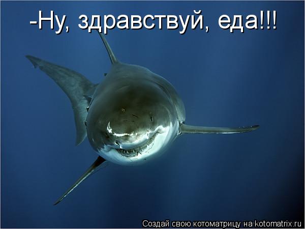 Котоматрица: -Ну, здравствуй, еда!!!