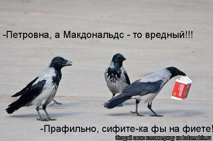 Котоматрица: -Петровна, а Макдональдс - то вредный!!!  -Прафильно, сифите-ка фы на фиете!