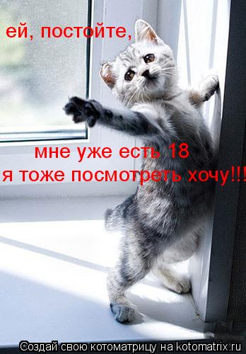 Котоматрица: ей, постойте, мне уже есть 18 я тоже посмотреть хочу!!!