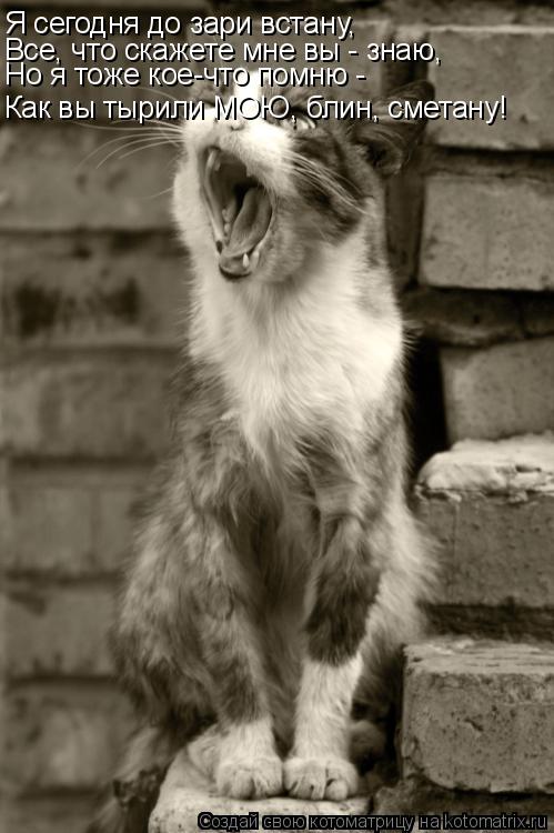 Котоматрица: Я сегодня до зари встану, Все, что скажете мне вы - знаю, Но я тоже кое-что помню - Как вы тырили МОЮ, блин, сметану!