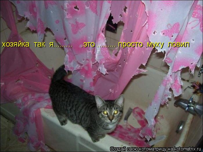 Котоматрица: хозяйка  так  я.........    .это ......... просто  муху  ловил