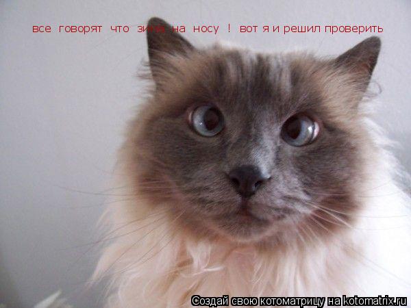 Котоматрица: все  говорят  что  зима  на  носу  !  вот я и решил проверить