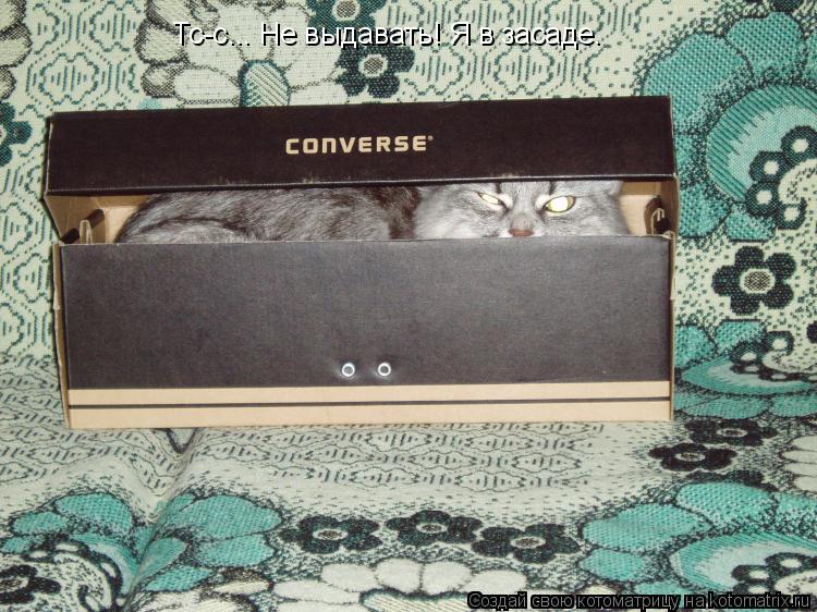Котоматрица: Тс-с... Не выдавать! Я в засаде.