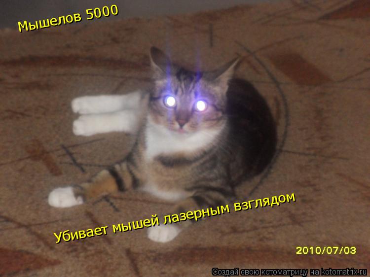 Котоматрица: Мышелов 5000 Убивает мышей лазерным взглядом