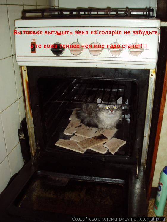 Котоматрица: Вы только вытащить меня из солярия не забудьте, а то кожа темнее чем мне надо станет!!!