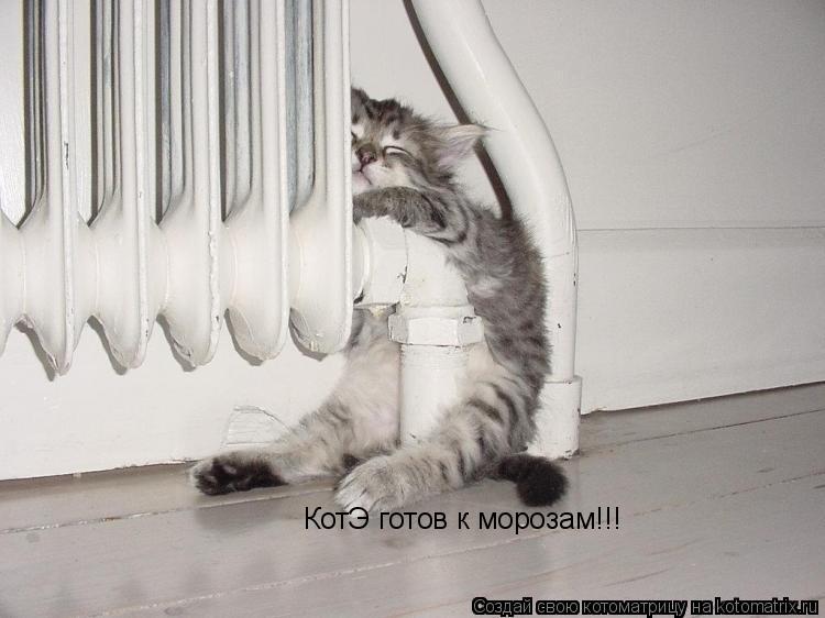 Котоматрица: КотЭ готов к морозам!!!