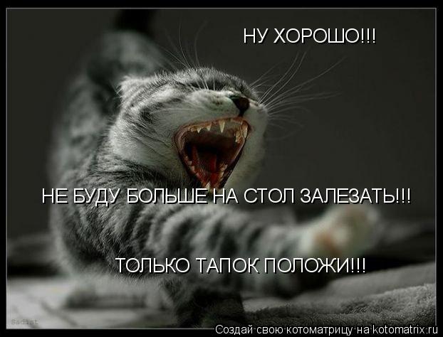 Котоматрица: НУ ХОРОШО!!! НЕ БУДУ БОЛЬШЕ НА СТОЛ ЗАЛЕЗАТЬ!!! ТОЛЬКО ТАПОК ПОЛОЖИ!!!