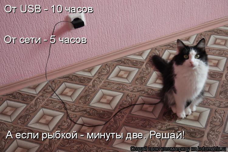 Котоматрица: От USB - 10 часов От сети - 5 часов А если рыбкой - минуты две. Решай!