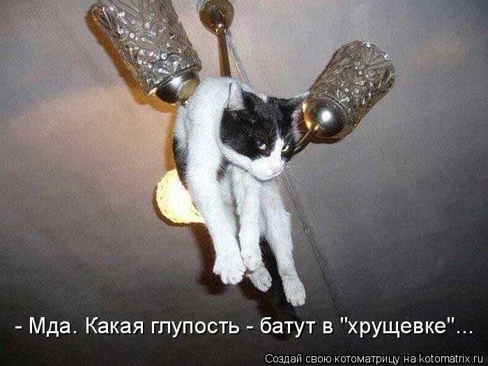 Котоматрица: - Мда. Какая глупость - батут в "хрущевке"...