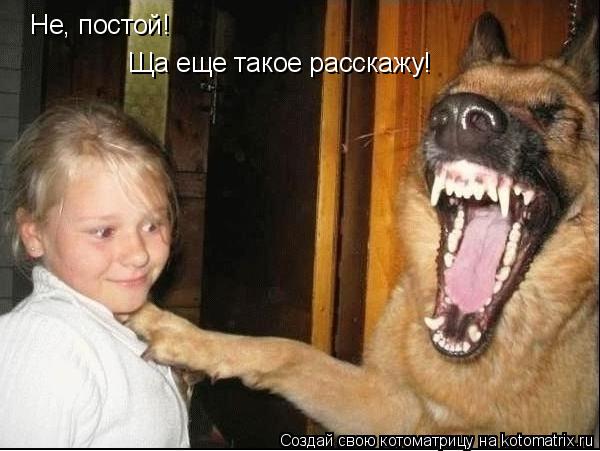 Котоматрица: Не, постой! Ща еще такое расскажу!