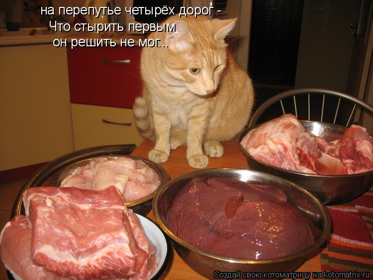 Котоматрица: на перепутье четырёх дорог - Что стырить первым он решить не мог...