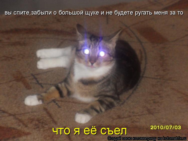 Котоматрица: вы спите,забыли о большой щуке и не будете ругать меня за то что я её съел