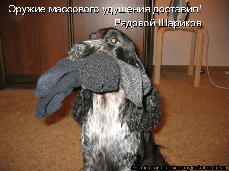 Котоматрица: Оружие массового удушения доставил! Рядовой Шариков