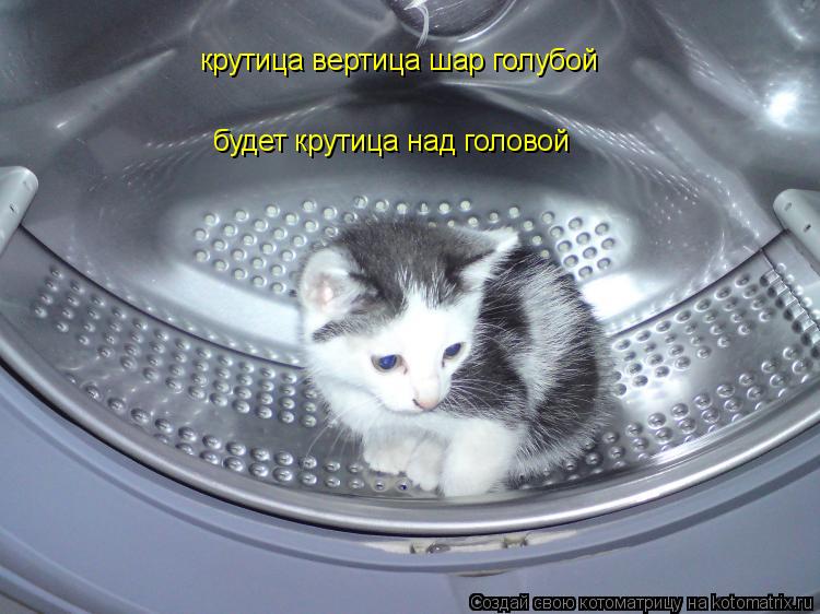 Котоматрица: крутица вертица шар голубой будет крутица над головой